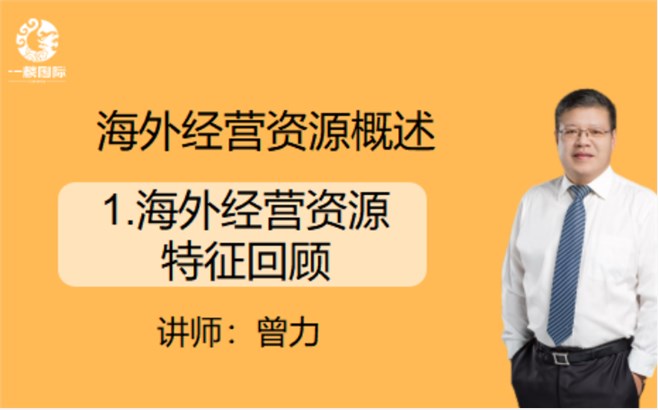 海外经营资源概述：1.海外经营资源特征回顾