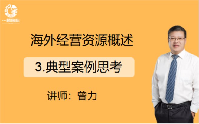 海外经营资源概述：3.典型案例思考